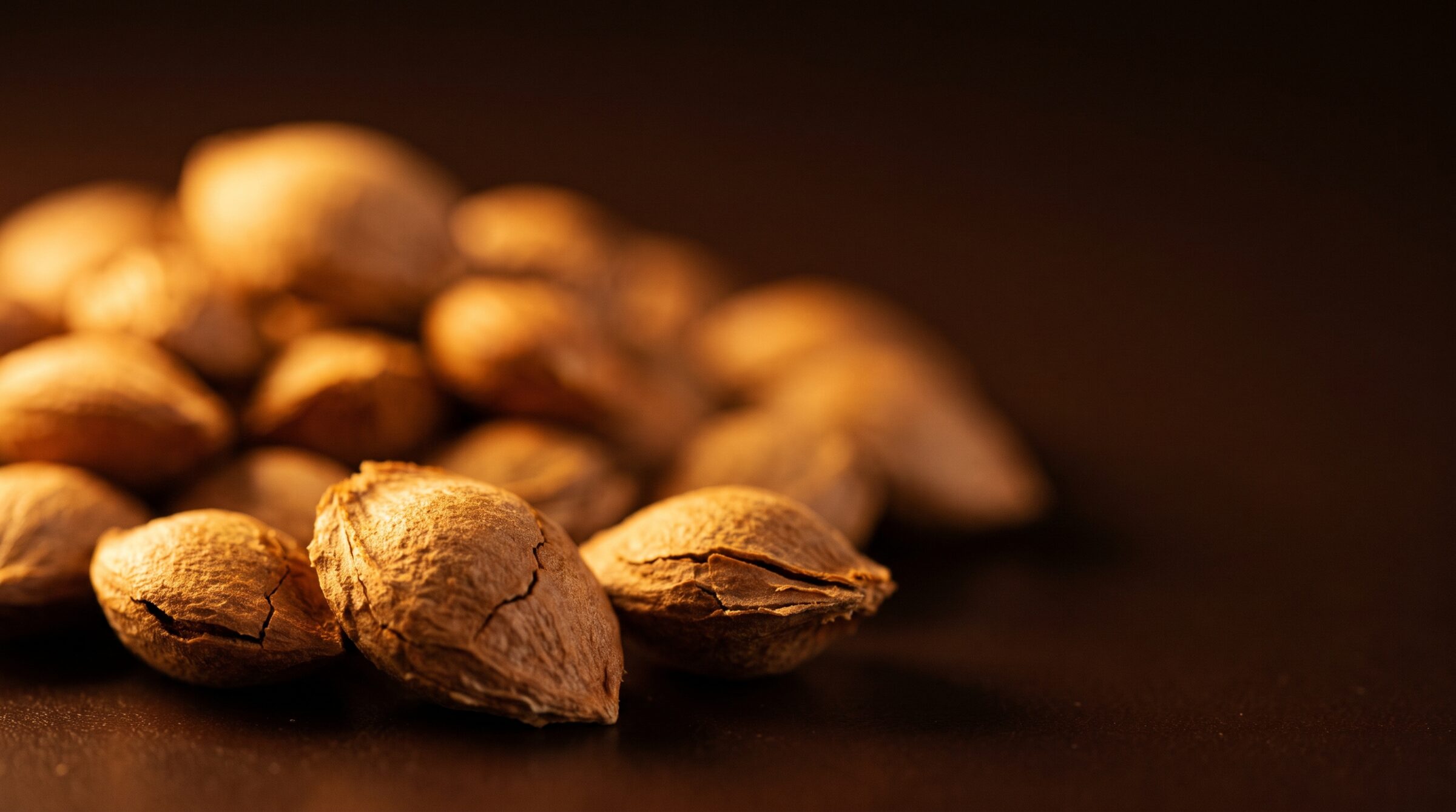 Bitter apricot kernels