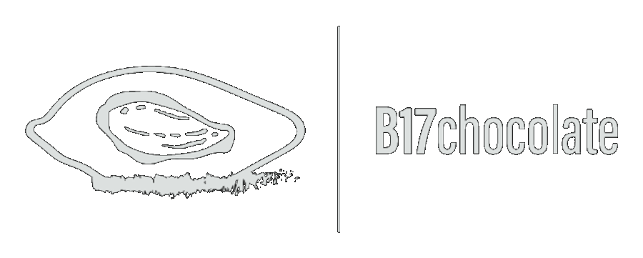 B17chocolate