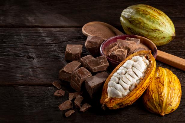 Cacao pods