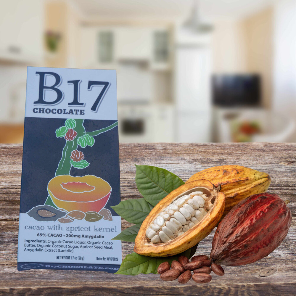 B17 Chocolate single bar